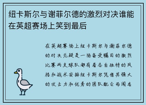 纽卡斯尔与谢菲尔德的激烈对决谁能在英超赛场上笑到最后